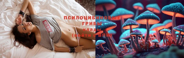 соль курить ск Заводоуковск