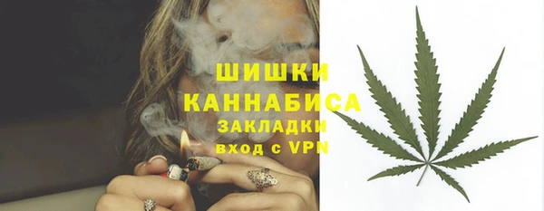 сатива Армянск