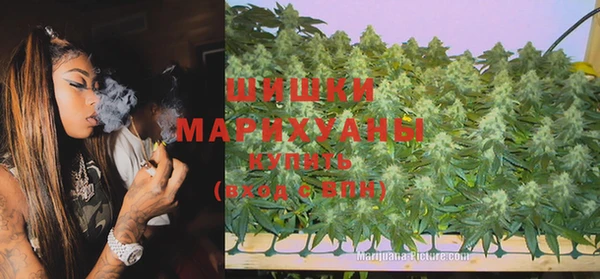 винт Аркадак