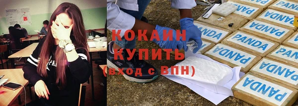 сатива Армянск